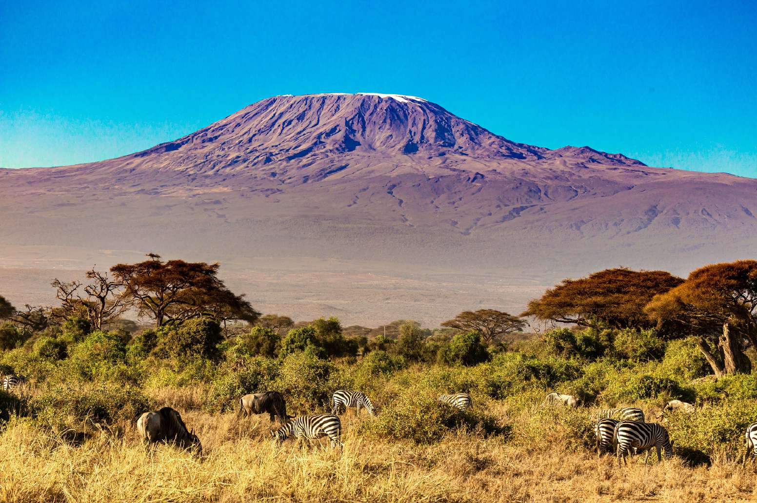 Kilimanjaro